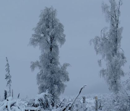 30 сантиметра сняг и проблеми с електроснабдяването в Панагюрски колонии