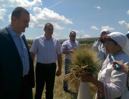Над 5 млн. тона е очакваната реколта от пшеница