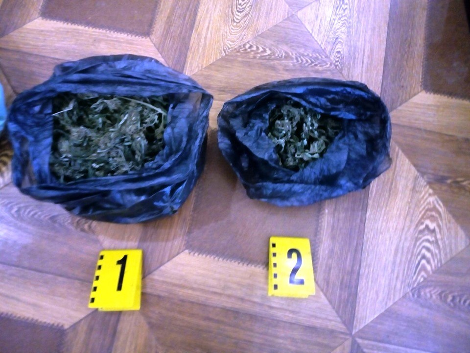 Полицията нахлу в оранжерия и откри: 35 растения канабис, тежат 59 кила СНИМКИ