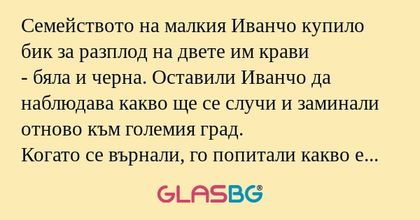 Семейството на малкия Иванчо купило...
