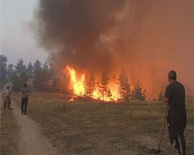 Голям горски пожар избухна в Ардинско