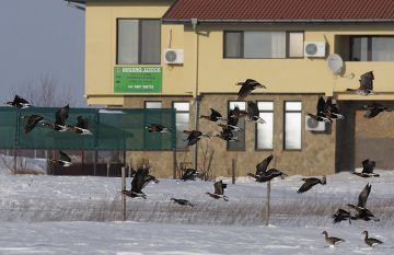 “Еколози” въртят хотел в защитена зона