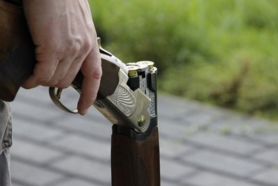 Бракониери убиха елен в Силистренско