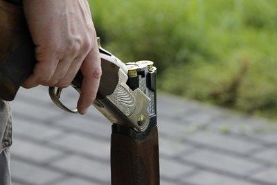 Бракониери убиха елен в Силистренско