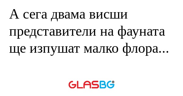 А сега двама висши представители...