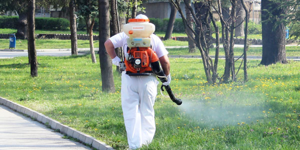 В Пловдив продължава обработката срещу комари