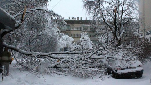 Дървена ваканция в 494 училища в страната