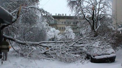 Дървена ваканция в 494 училища в страната