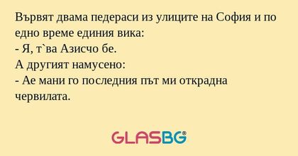 Вървят двама педераси из улиците...