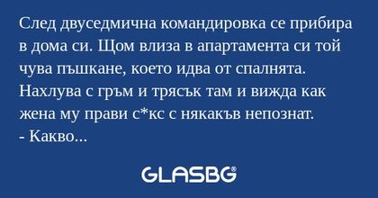 След двуседмична командировка се...