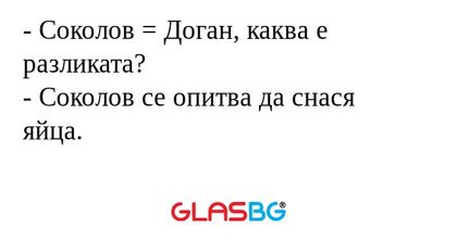 Соколов = Доган, каква е разликата...